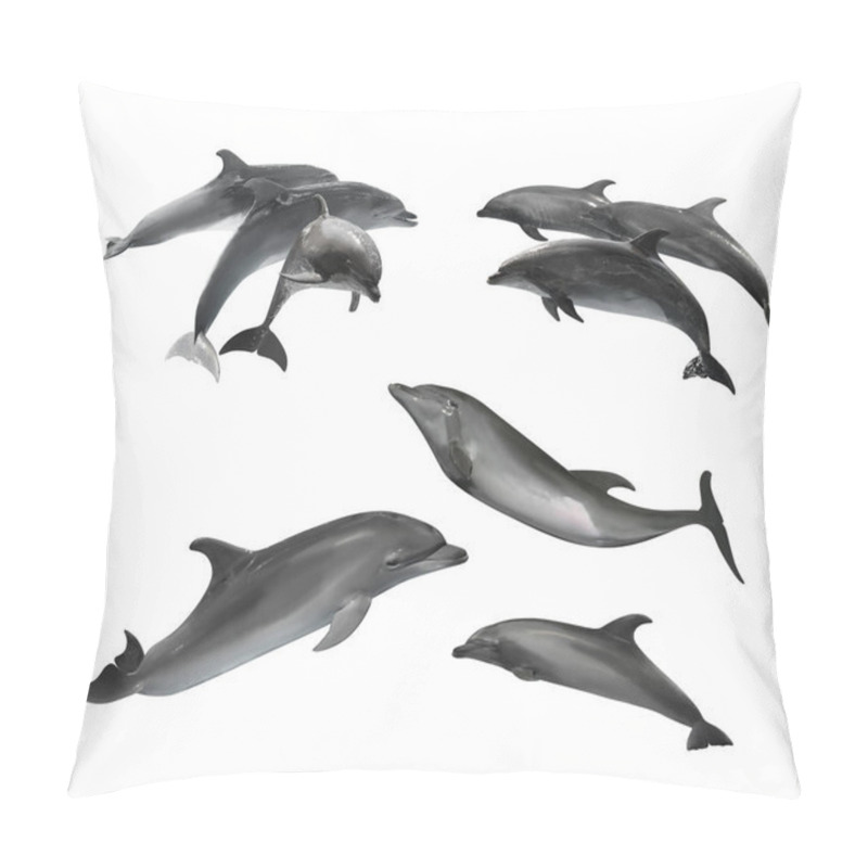 Personality  Beautiful Grey Bottlenose Dolphins On White Background, Collage Pillow Covers