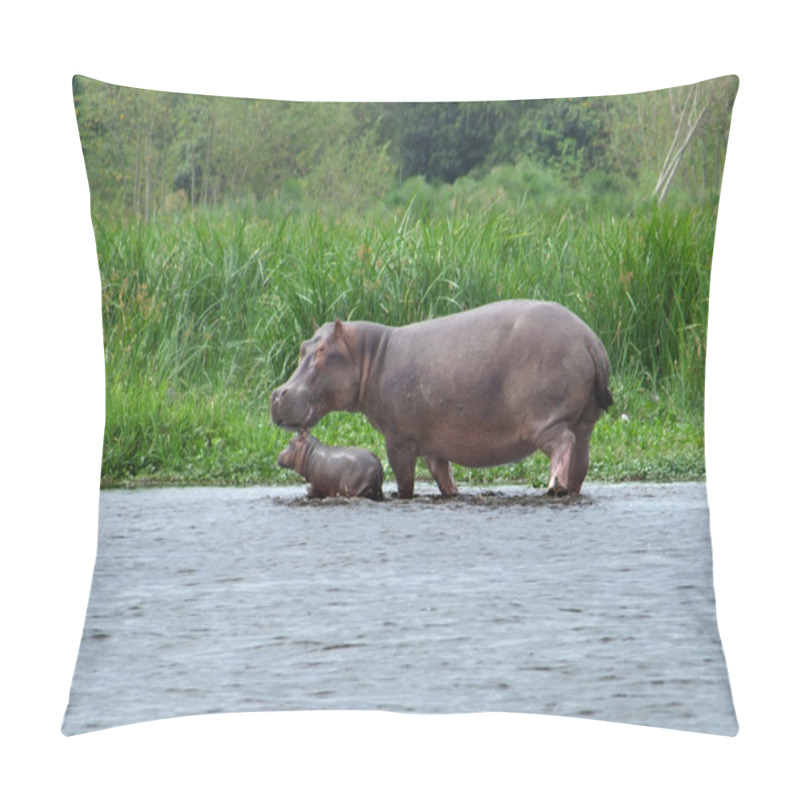 Personality  Hippo Calf And Cow In Africa Pillow Covers