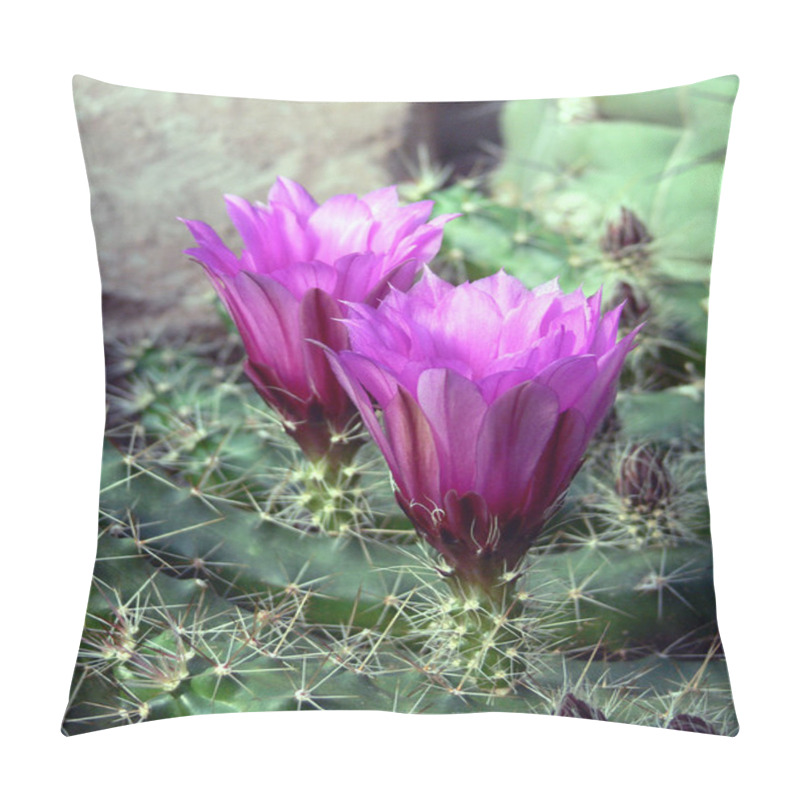 Personality  Tropical Plant, Botany Flora, Cactus Pillow Covers