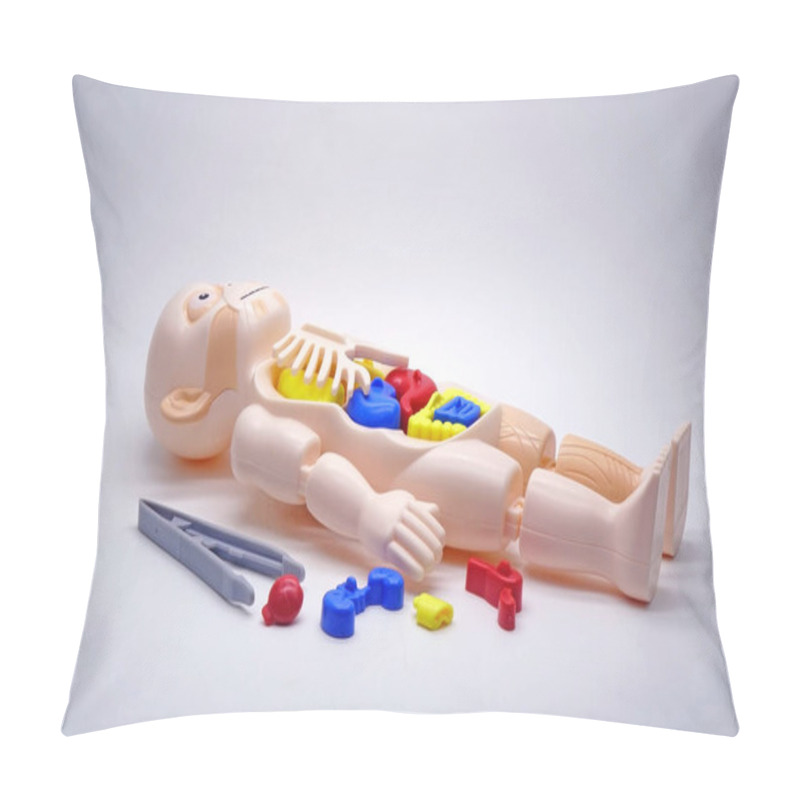 Personality  Phuket, Thailand-: Human Body Model Toy For Kids, Guide Children Into Science And Anatomy.  Pillow Covers