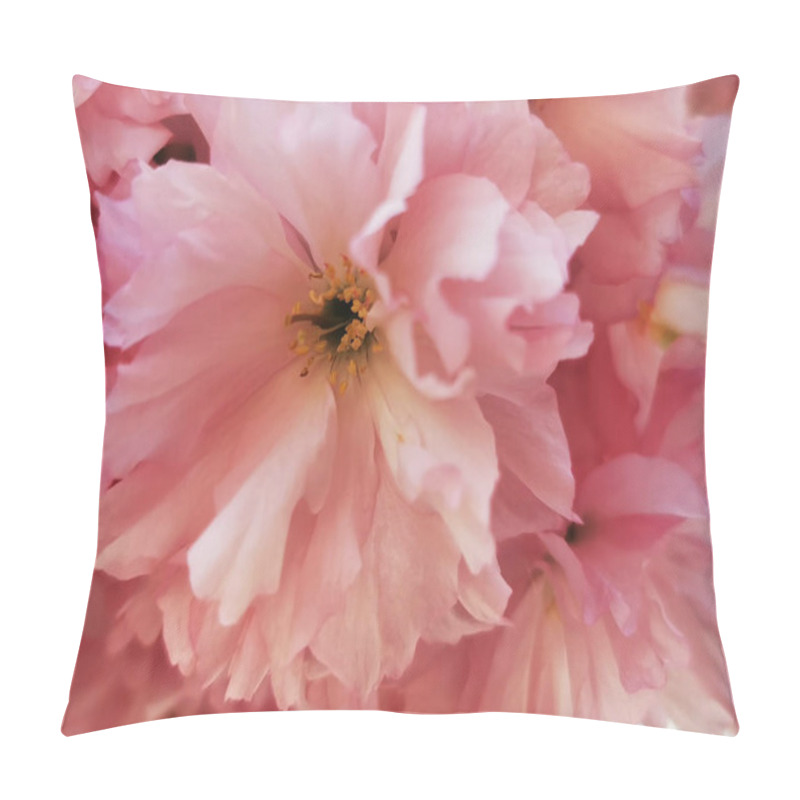 Personality  Delicate Pink Cherry Blossoms Display Their Vibrant Hues In A Spring Garden, Creating A Picturesque Scene Filled With The Beauty Of Nature And Renewal. Pillow Covers