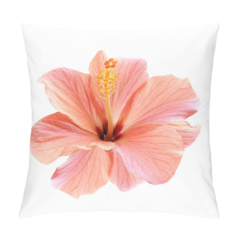 Personality  Pink Hibiscus Flower Isolated Pillow Covers