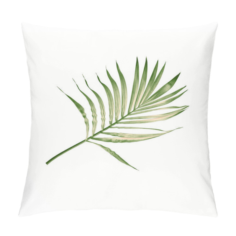 Personality  Green Leaf Of Palm Tree Isolated On White Background Pillow Covers