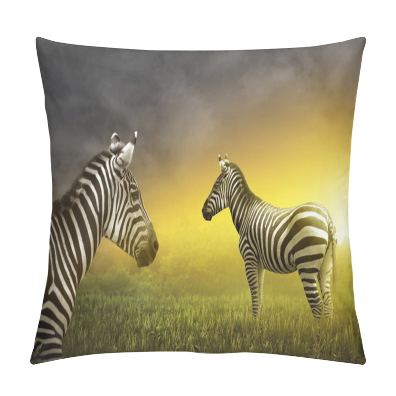 Personality  Two Zebras On The Grassland Pillow Covers