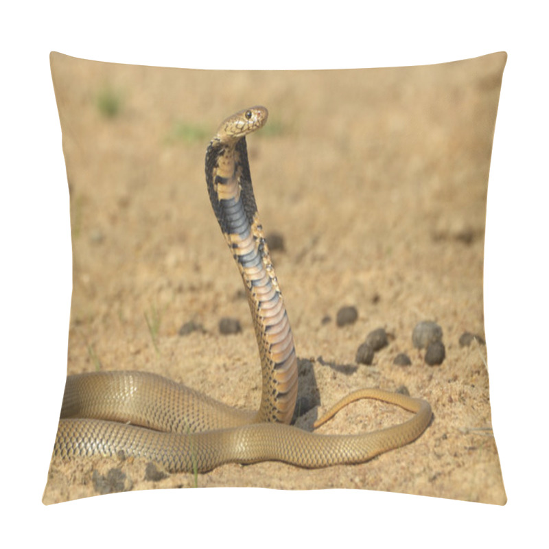 Personality  Mozambique Spitting Cobra Pillow Covers