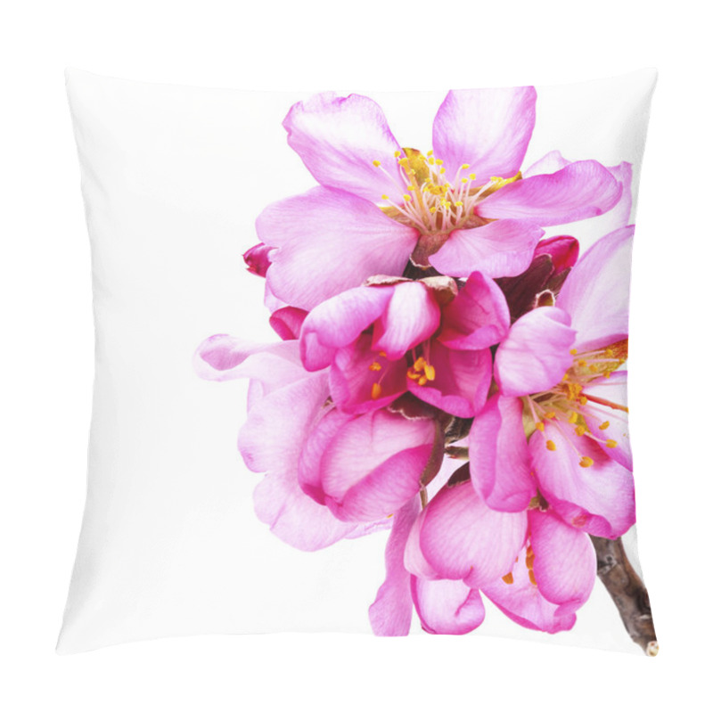 Personality  Pink Blooming Flowers Isolated On White Background Pillow Covers