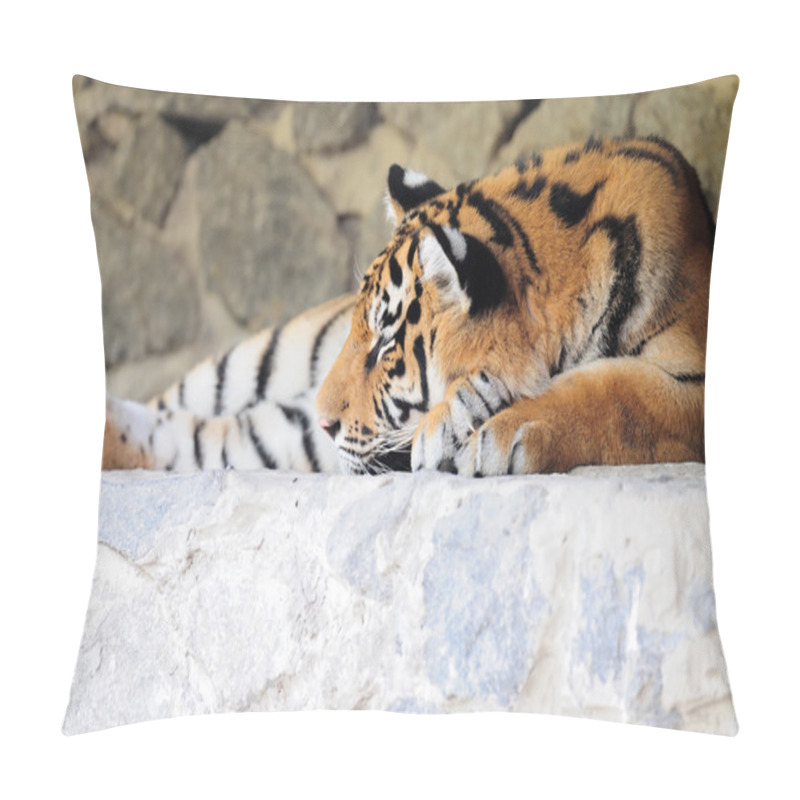 Personality  Tiger Pillow Covers