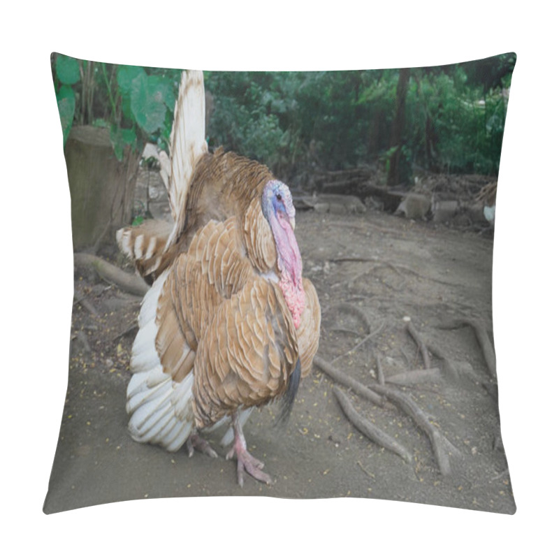 Personality  A Majestic Wild Peacock With Vibrant Plumage Standing Gracefully Amidst Lush Green Foliage, Basking In Soft Natural Light, In A Serene Forest Environment. Pillow Covers