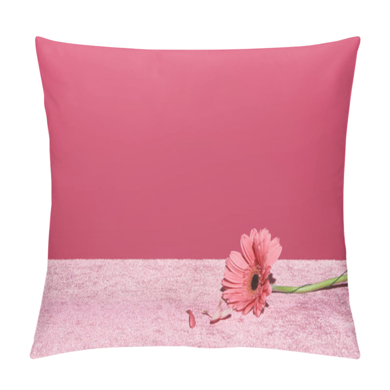 Personality  Gerbera With Picked Out Petals On Velour Pink Cloth Isolated On Pink, Girlish Concept Pillow Covers