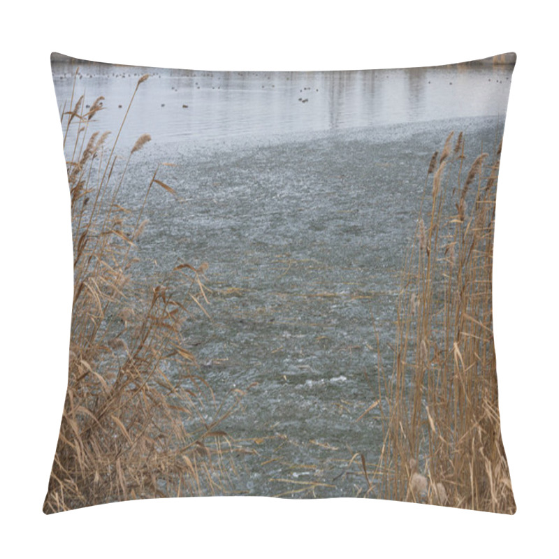 Personality  Reeds Growing Out Of The Water On A Frozen Lake Pillow Covers