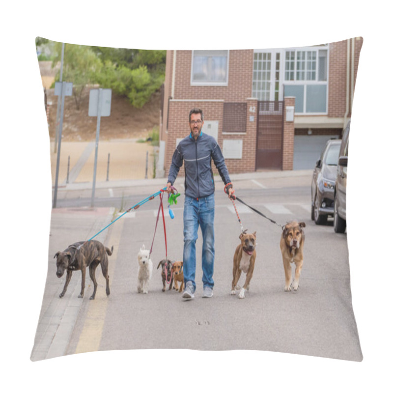 Personality  Professional Dog Walker Or Pet Sitter Walking A Pack Of Cute Different Breed And Rescue Dogs On Leash At City Street. Pillow Covers