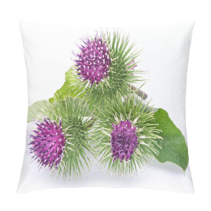 Personality  Prickly Heads Of Burdock Flowers On A White Background. Pillow Covers