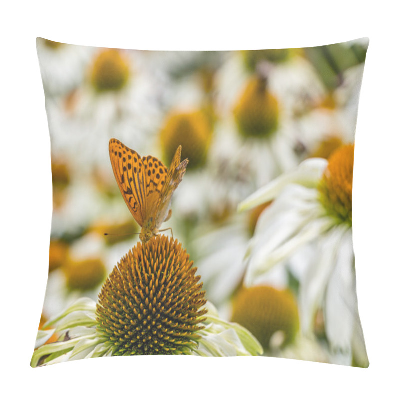 Personality  Flowers, Bee And Butterfly Pillow Covers