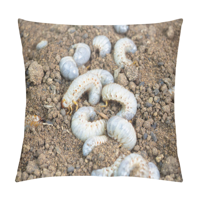 Personality  Beetle Larva (Diloboderus Abderus) Is A Species Of Beetle Pillow Covers