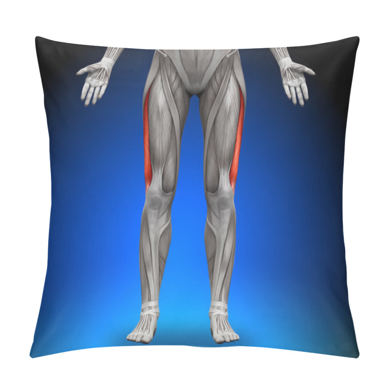 Personality  Vastus Lateralis - Female Anatomy Muscles Pillow Covers