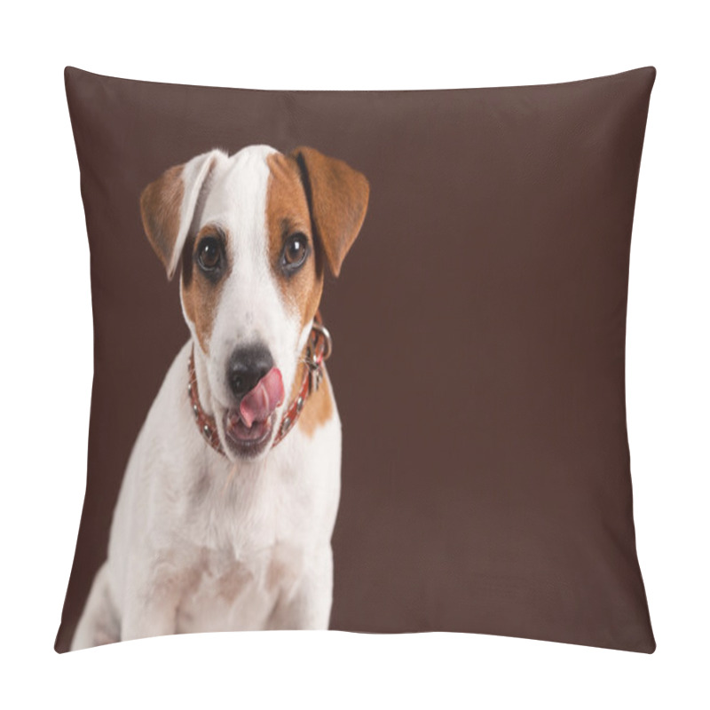 Personality  Licking Dog Puppy Pillow Covers