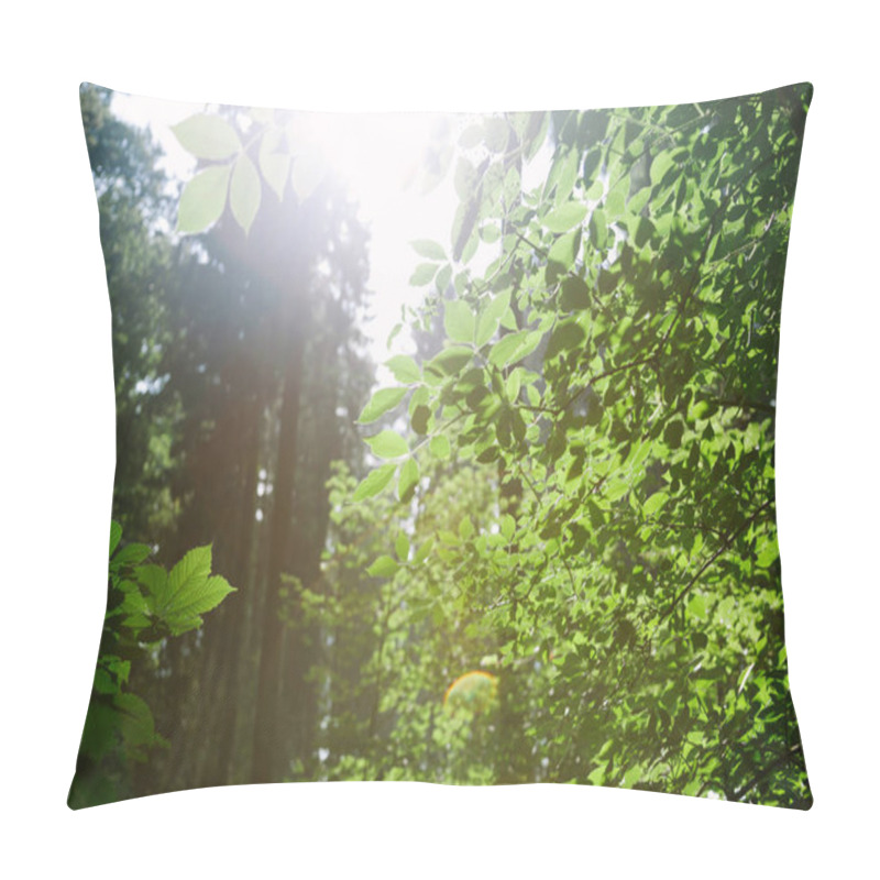 Personality  Trees With Green Leaves In Forest Under Sunlight In Hamburg, Germany  Pillow Covers