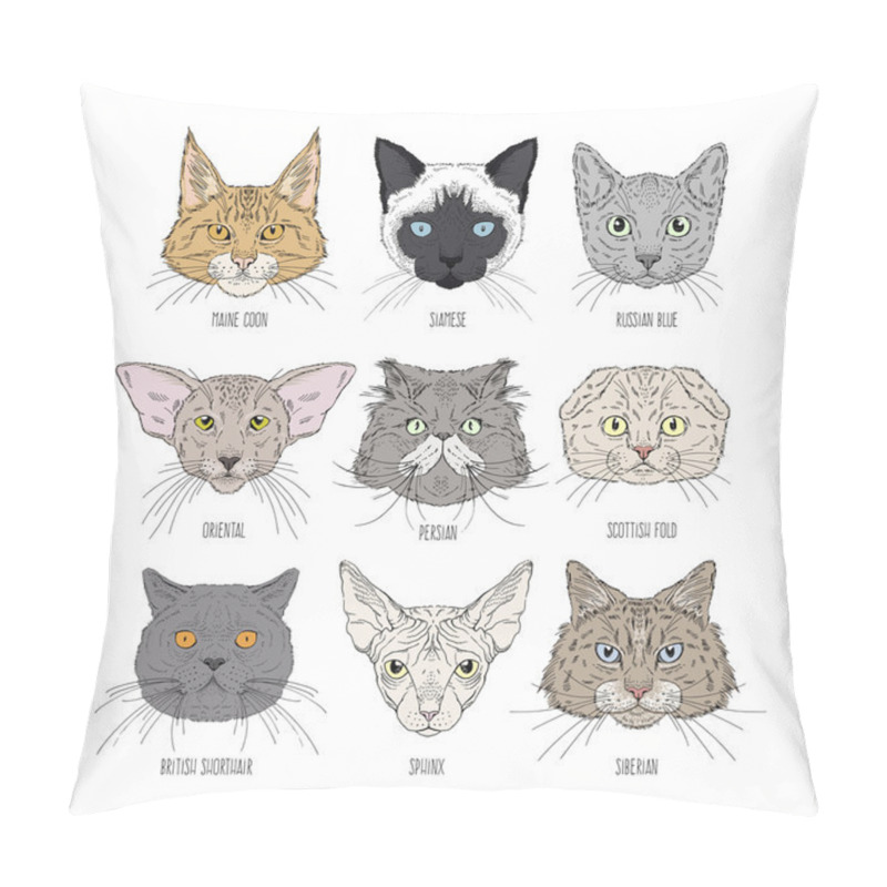 Personality  Cat Heads Set Of Different Breads Pillow Covers