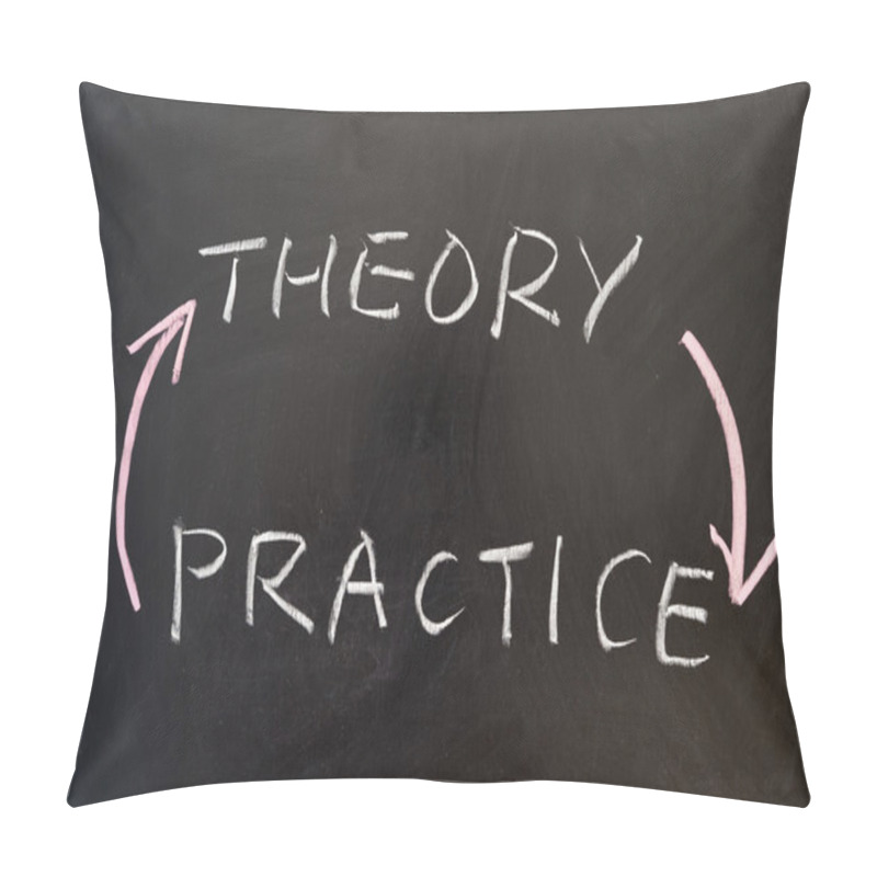 Personality  Theory And Practice Pillow Covers