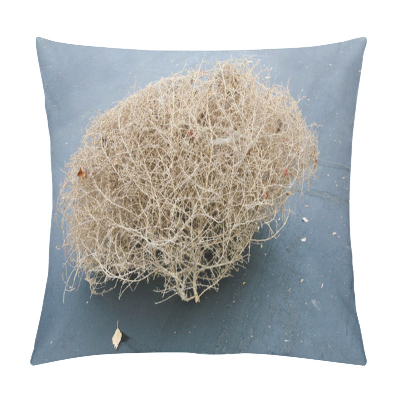 Personality  Tumble Weed. A Tumble Weed. Salsola. Salt Wort. Russian Thistle. On A Dirty Road. Tumble Weeds At A Barren Landscape. Rural Dirty Road In The Arid California Countryside. Grey And Brown Tumbleweed. Bush Of Crusty Dry Tumble Weed. Dead Plant. Pillow Covers