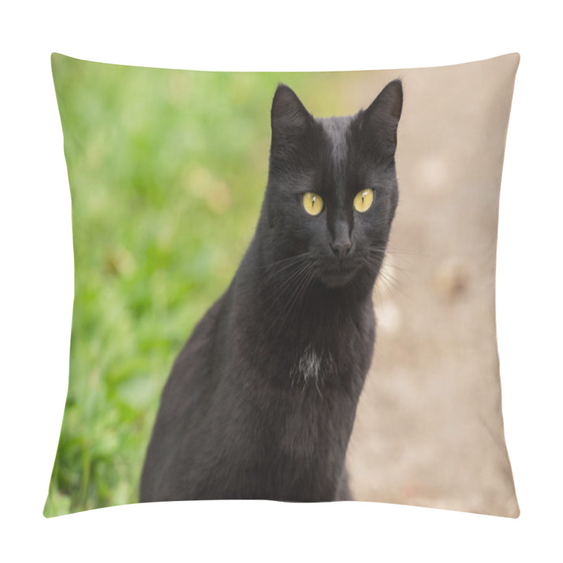 Personality  Bombay Black Cat Portrait With Yellow Eyes And Attentive Look Outdoors In Nature Pillow Covers