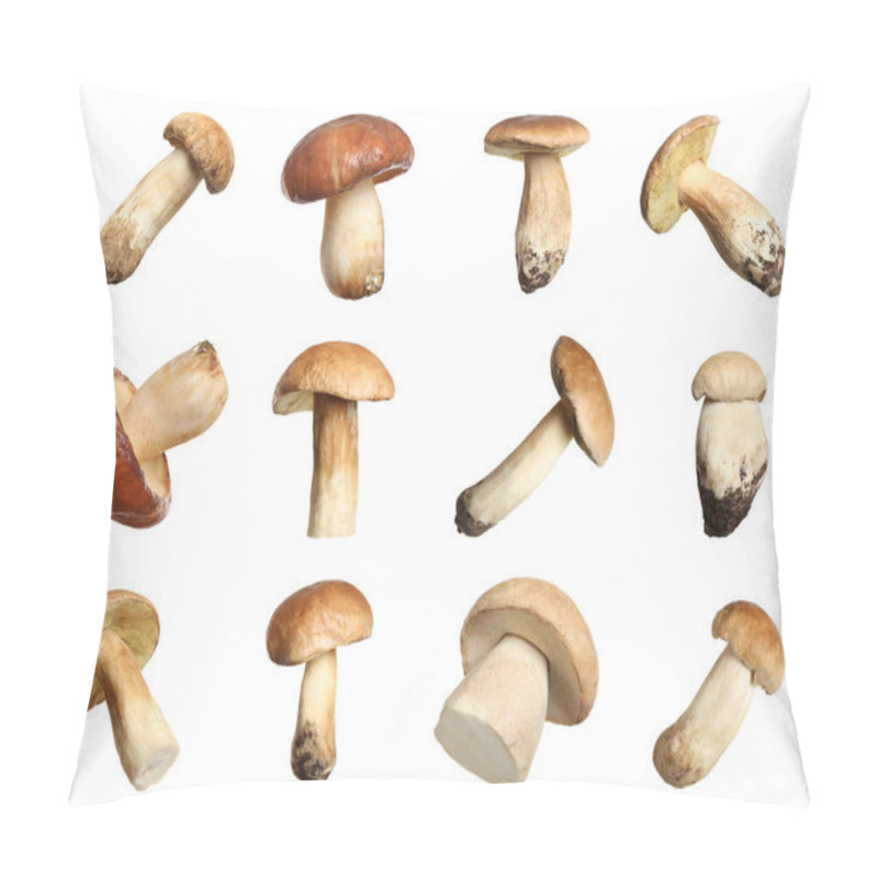 Personality  Set Of Fresh Edible Mushrooms On White Background Pillow Covers