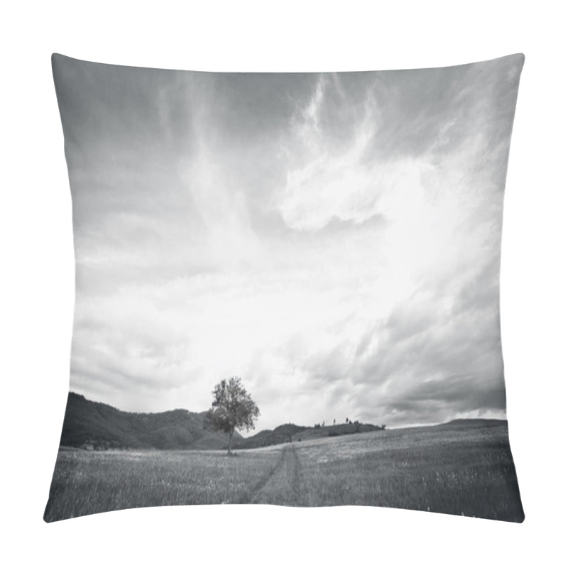 Personality  Bw Tree Landscape  Pillow Covers