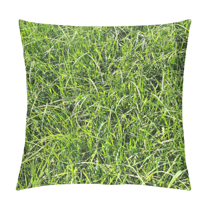 Personality  High Resolution Foto Realistic Seamless Texture Of Green Grass And Plants Pillow Covers