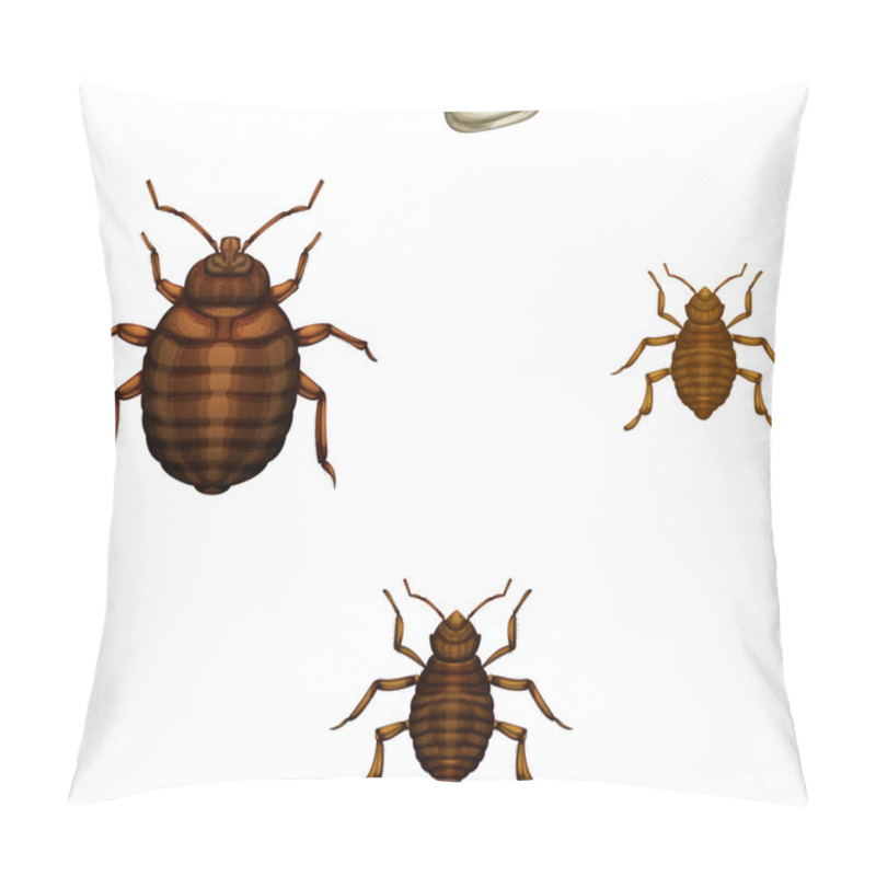 Personality  Bed Bug Life Cycle Pillow Covers