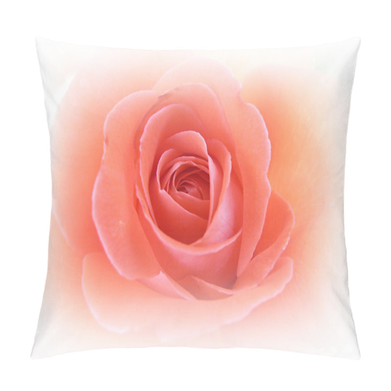 Personality  Beautiful Pink Rose Pillow Covers