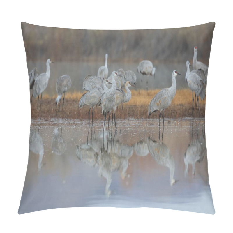 Personality  Sandhill Crane Bosque Del Apache Wildlife Reserve ,New Mexico Pillow Covers