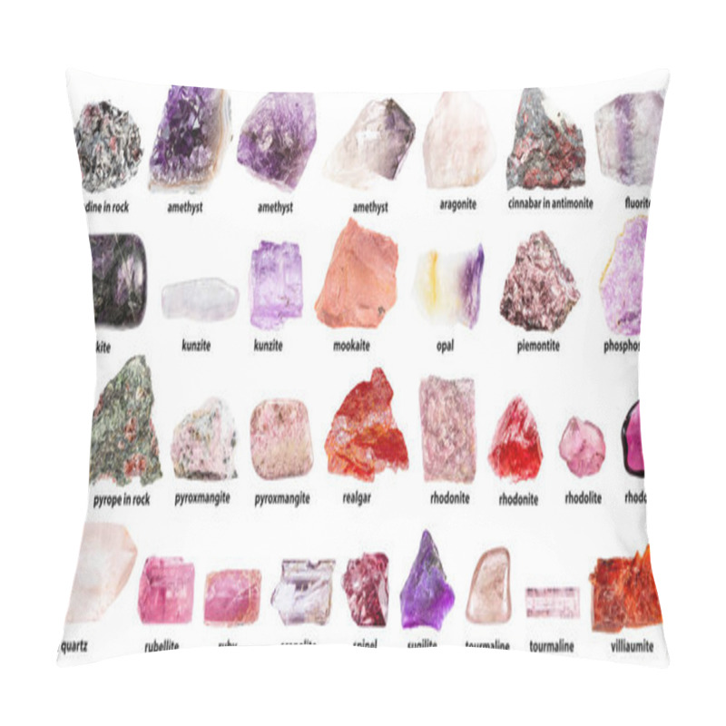 Personality  Collection Of Rough Pink Minerals With Names Isolated On White Background (kunzite, Rhodonite, Rhodolite, Pyrope, Piemontite, Realgar, Rubellite, Tourmaline, Sugilite, Ruby, Spinel, Scapolite, Ect) Pillow Covers