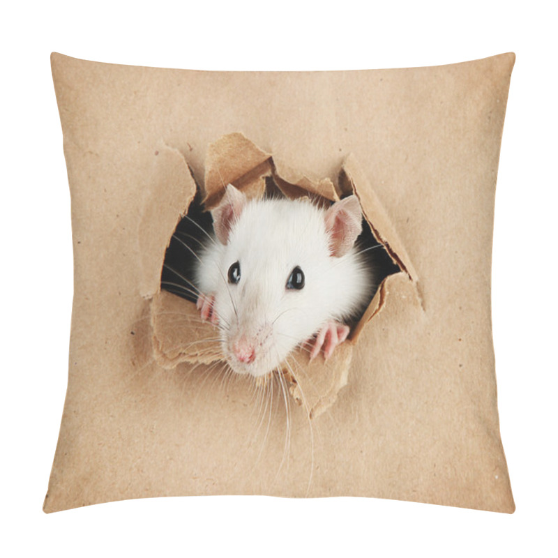 Personality  Funny Little Rat On Paper Background Pillow Covers