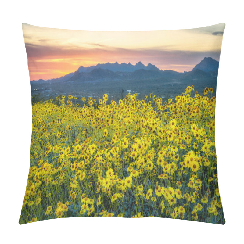 Personality  Spring Blossoms In The Sonoran Desert Near Phoenix, Arizona Pillow Covers