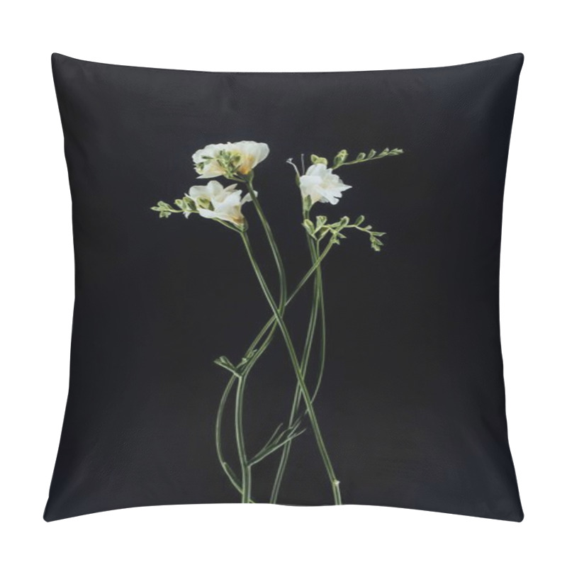 Personality  Beautiful Freesia Flowers With Stems Isolated On Black Pillow Covers