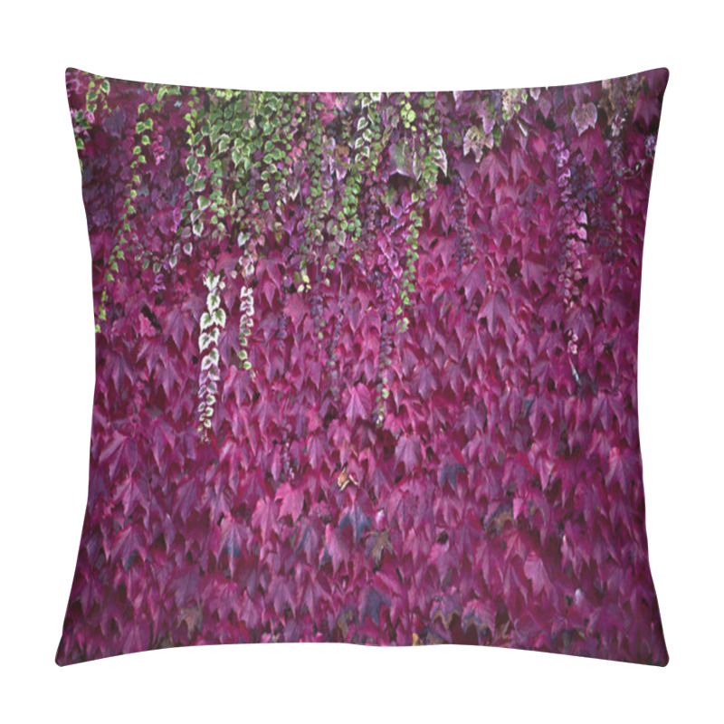 Personality  Red Ivy In Autumn Pillow Covers