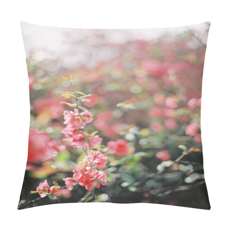 Personality  Blooming Sakura Branches Closeup. Blooming Tree On Blue Sky Background. Pillow Covers