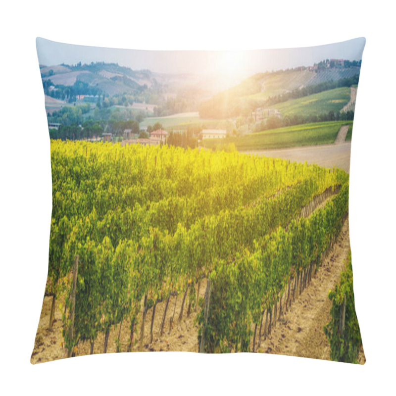 Personality  Vineyard Landscape In Tuscany, Italy. Pillow Covers