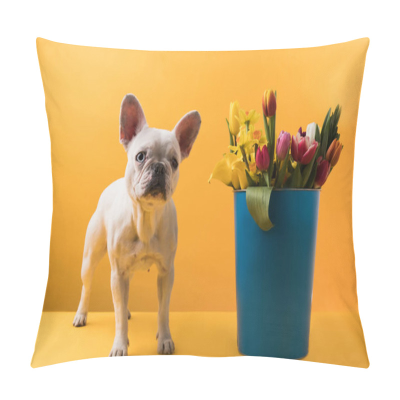 Personality  Dog Standing Near Bucket With Beautiful Spring Flowers On Yellow Pillow Covers