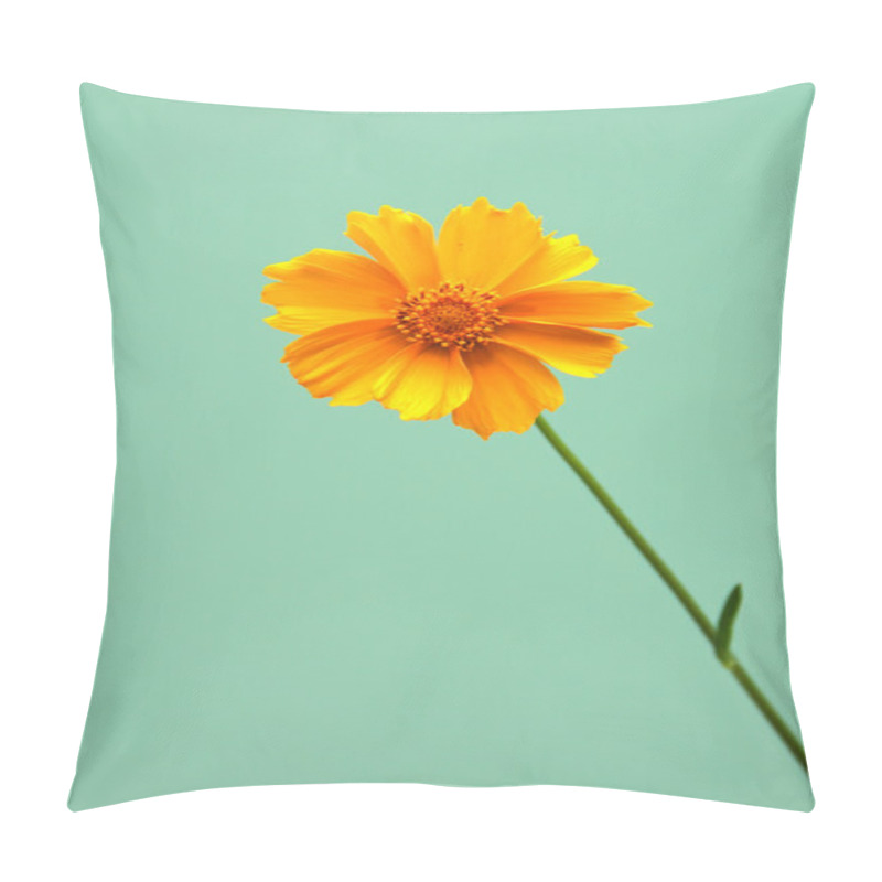 Personality  Single Daisy Pillow Covers