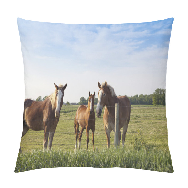 Personality  Horse On A Field Pillow Covers