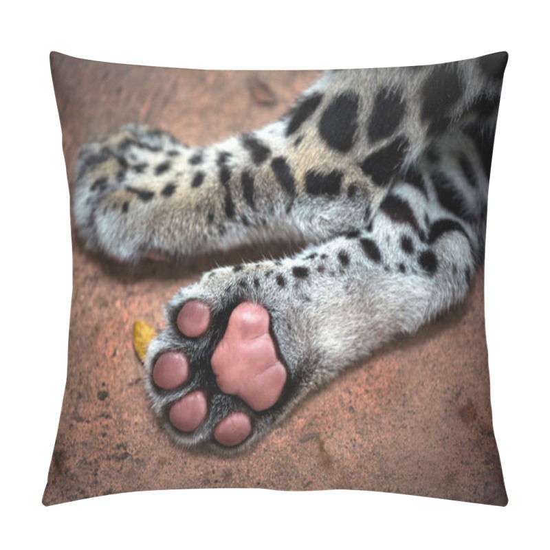 Personality  The Feet And Legs Of The Baby Leopard. Pillow Covers