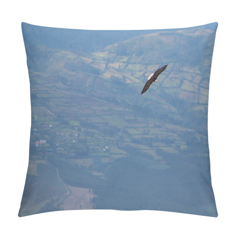 Personality  American Bald Eagle Flying In Otavalo, Ecuador Pillow Covers