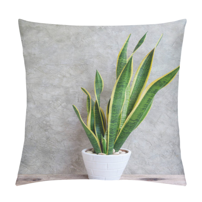 Personality  SANSEVIERIA FERNWOOD PUNK - SNAKE PLANT In White Pot On Rustic Wood Table Cement Wall Background,house Plant Trees Absorb Toxins To Purify The Air Pillow Covers