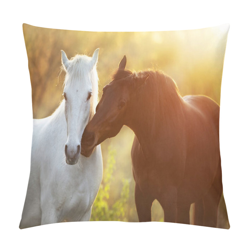 Personality  Two Horses Embracing In Friendship In Sunlight Pillow Covers