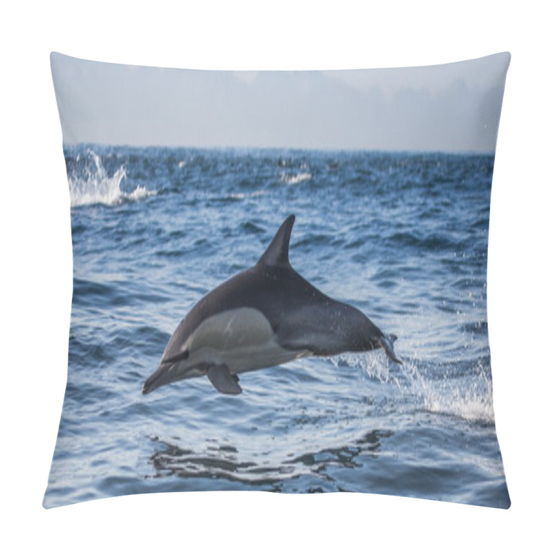 Personality  Dolphin In Blue Sea Pillow Covers