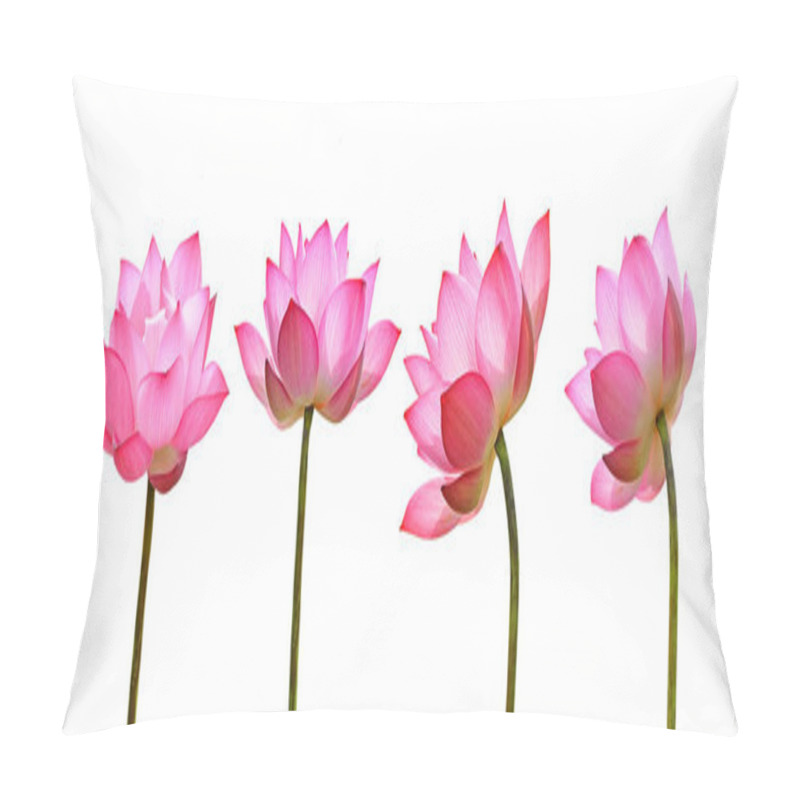 Personality  Lotus Flower Isolated On White Background. Pillow Covers