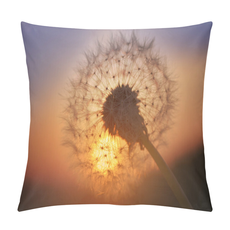 Personality  Golden Sunset And Dandelion Pillow Covers