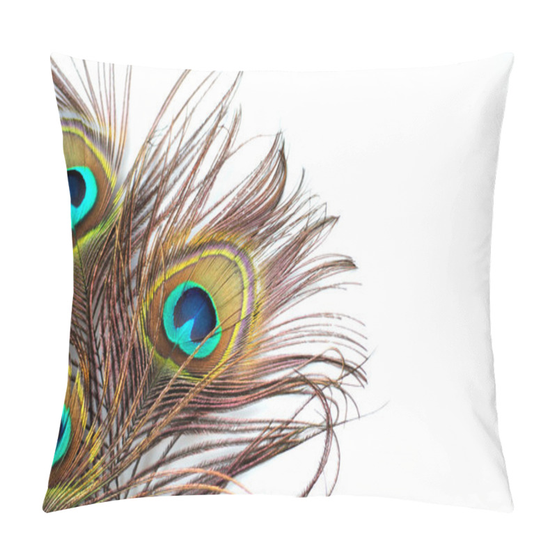 Personality  Peacock Feathers Pillow Covers