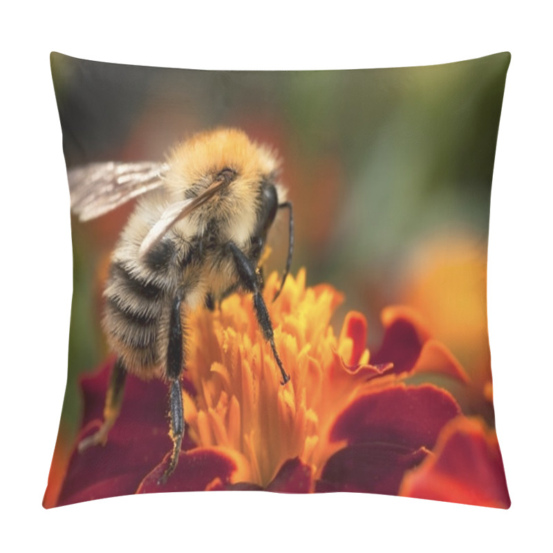 Personality  Young Bumblebee At Work Pillow Covers